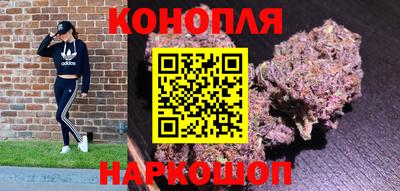 индика Рыбинск