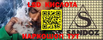 индика Рыбинск