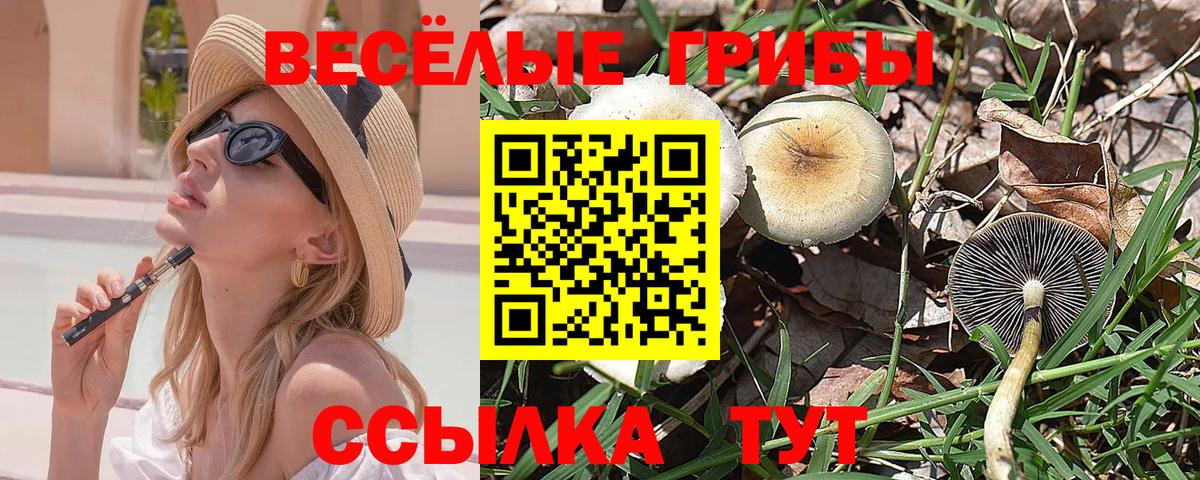 Галлюциногенные грибы Psilocybine cubensis  Вход с VPN  Благовещенск  Галлюциногенные грибы GOLDEN TEACHER 